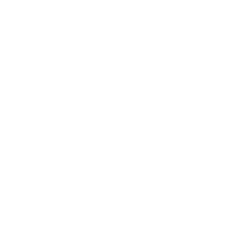Steam